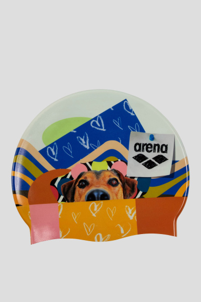 Arena