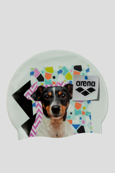 Arena