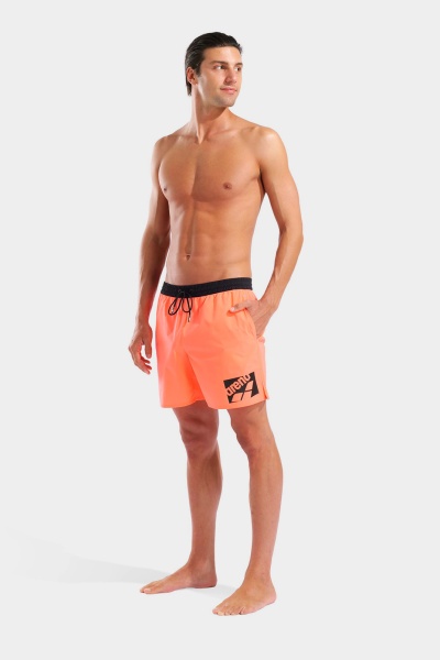 Arena